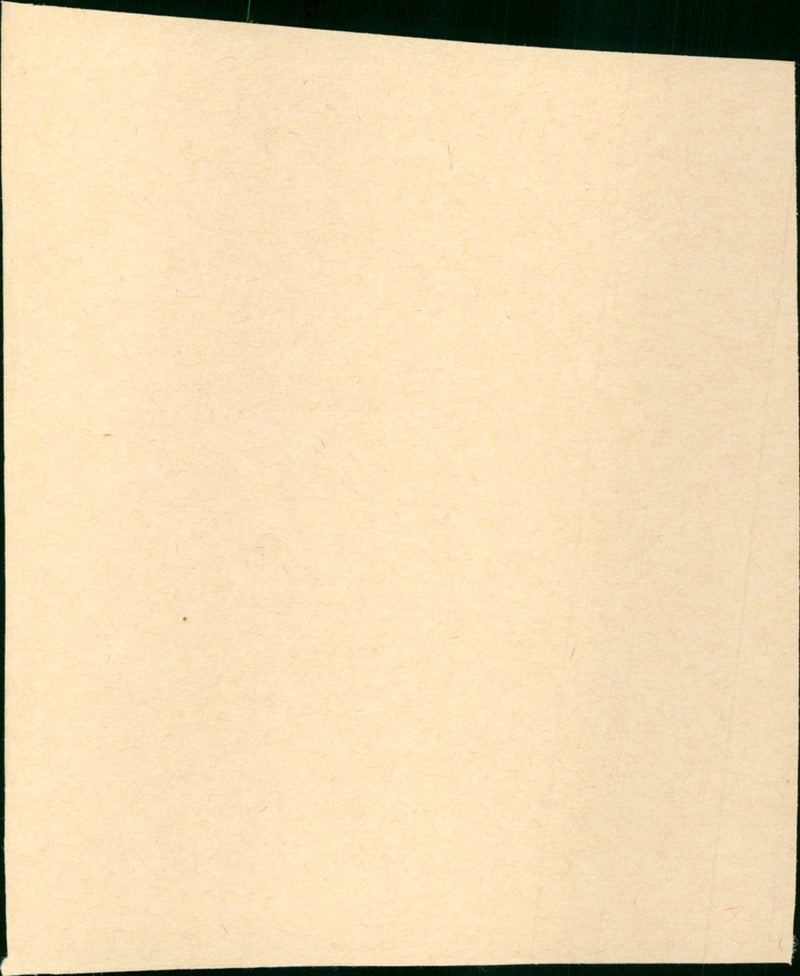 The Trouble with Harry - Vintage Photograph