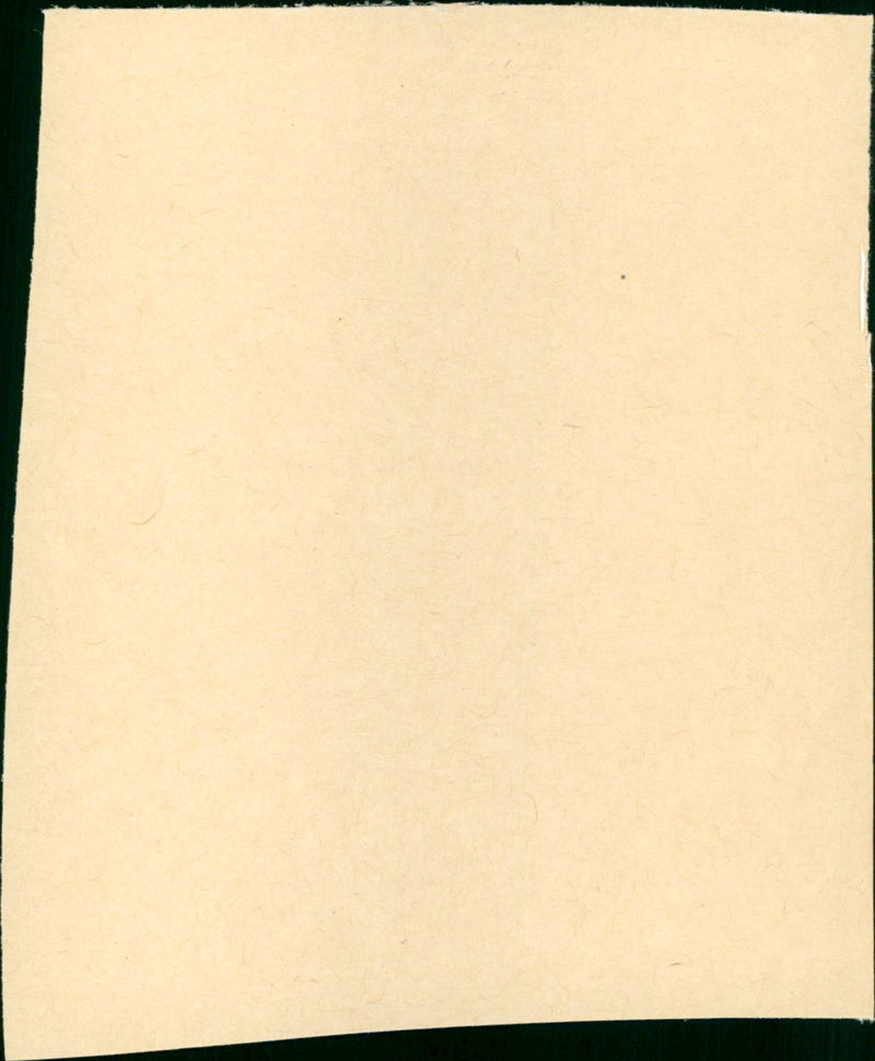 la double vie de véronique - Vintage Photograph