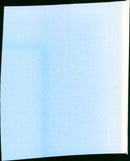 Double Wedding - Vintage Photograph