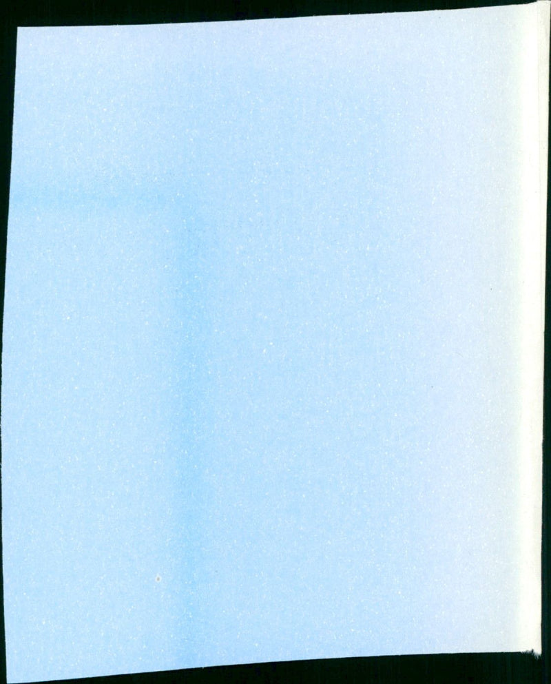 Double Wedding - Vintage Photograph