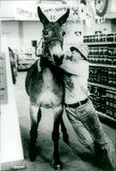 Gus - Vintage Photograph