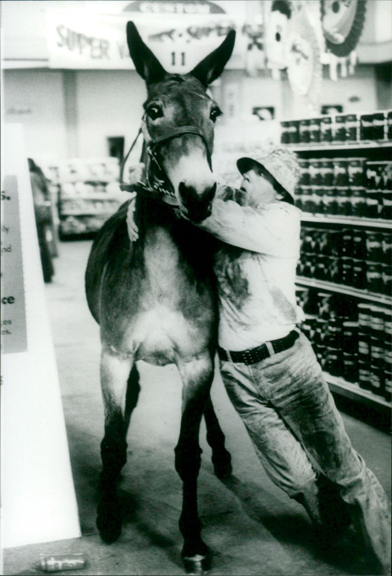 Gus - Vintage Photograph