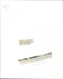 True Lies 1994 - Vintage Photograph