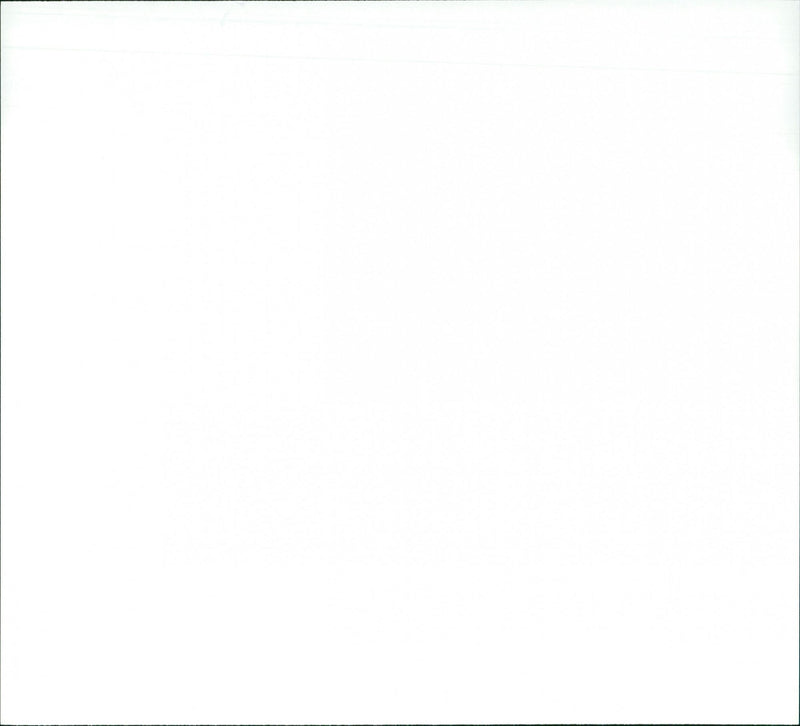 James Cameron, Arnold Schwarzenegger, Jamie Lee Curtis and Tom Arnold - Vintage Photograph