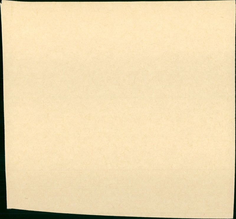 True Lies - Vintage Photograph