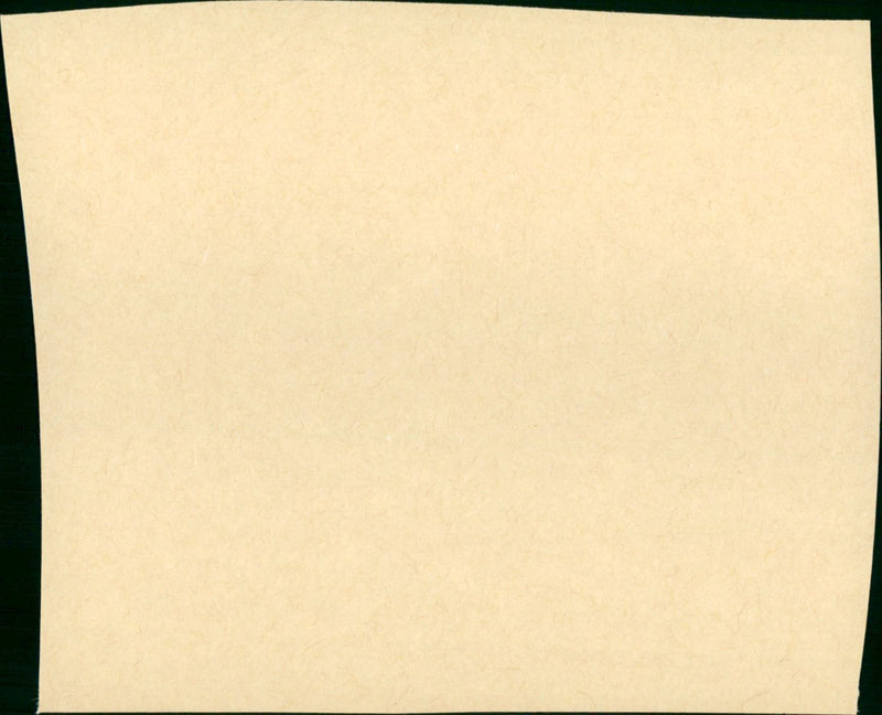 Le Grande Illusion - Vintage Photograph