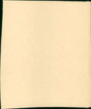 Guilty Bystander - Vintage Photograph