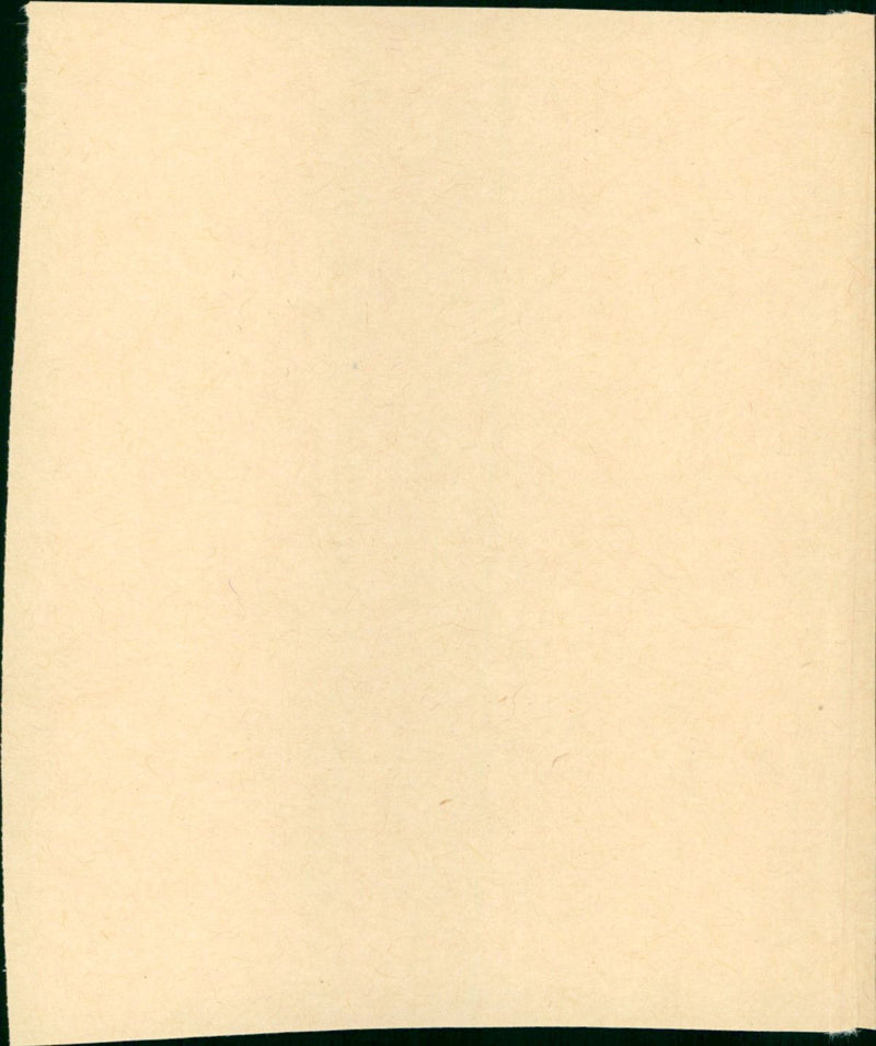 Guilty Bystander - Vintage Photograph