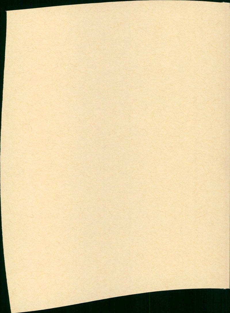 IL Grande Fuoco - Vintage Photograph