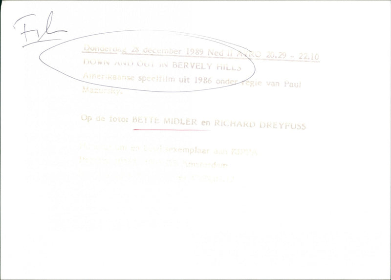 Down and Out in Beverly Hills - Vintage Photograph