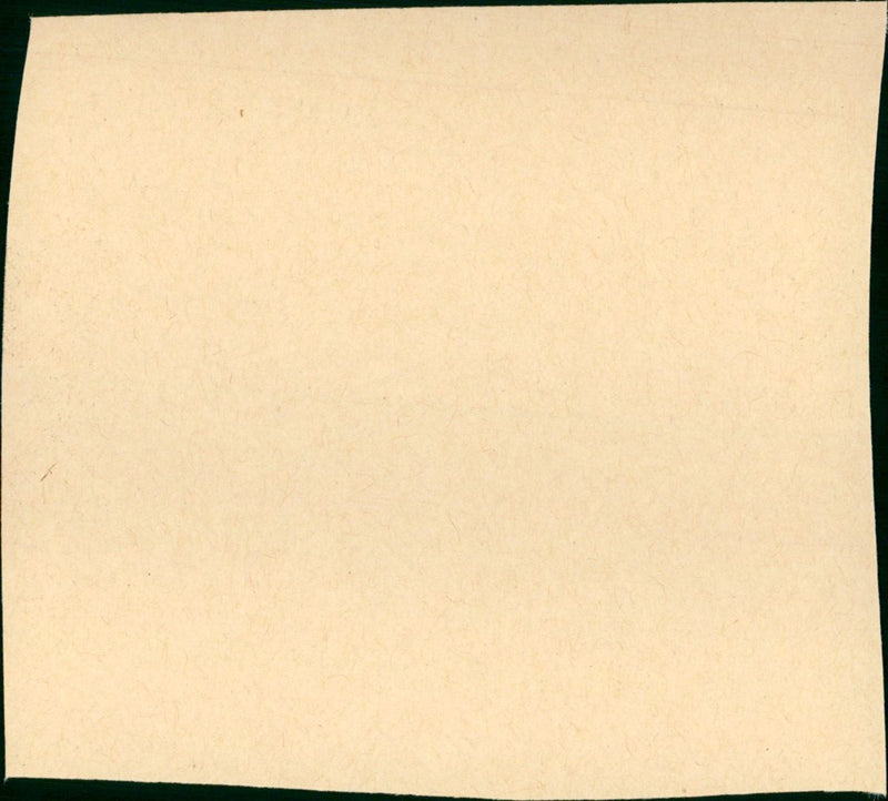 Le Grande Maffia - Vintage Photograph