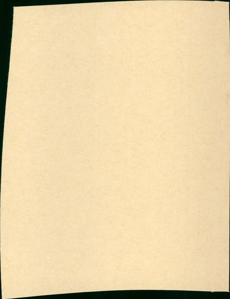 Les Grandes Manoeuvres - Vintage Photograph