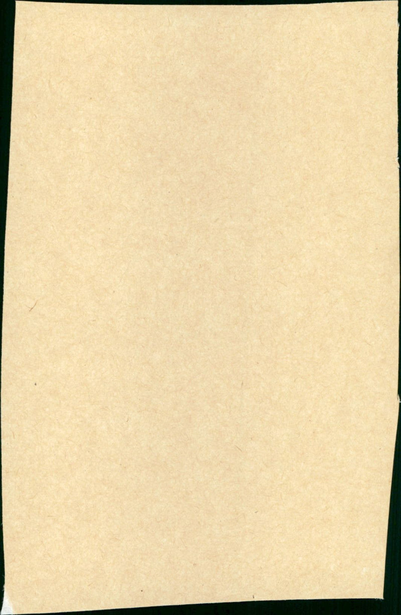 Un dimanche à la campagne - Vintage Photograph