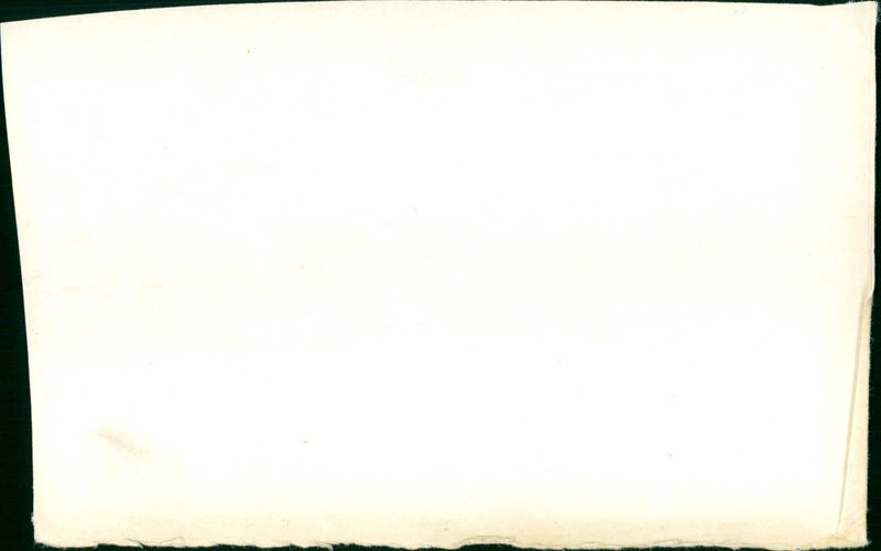 La Grande Bouffe - Vintage Photograph