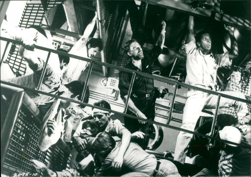 Gray Lady Down - Vintage Photograph