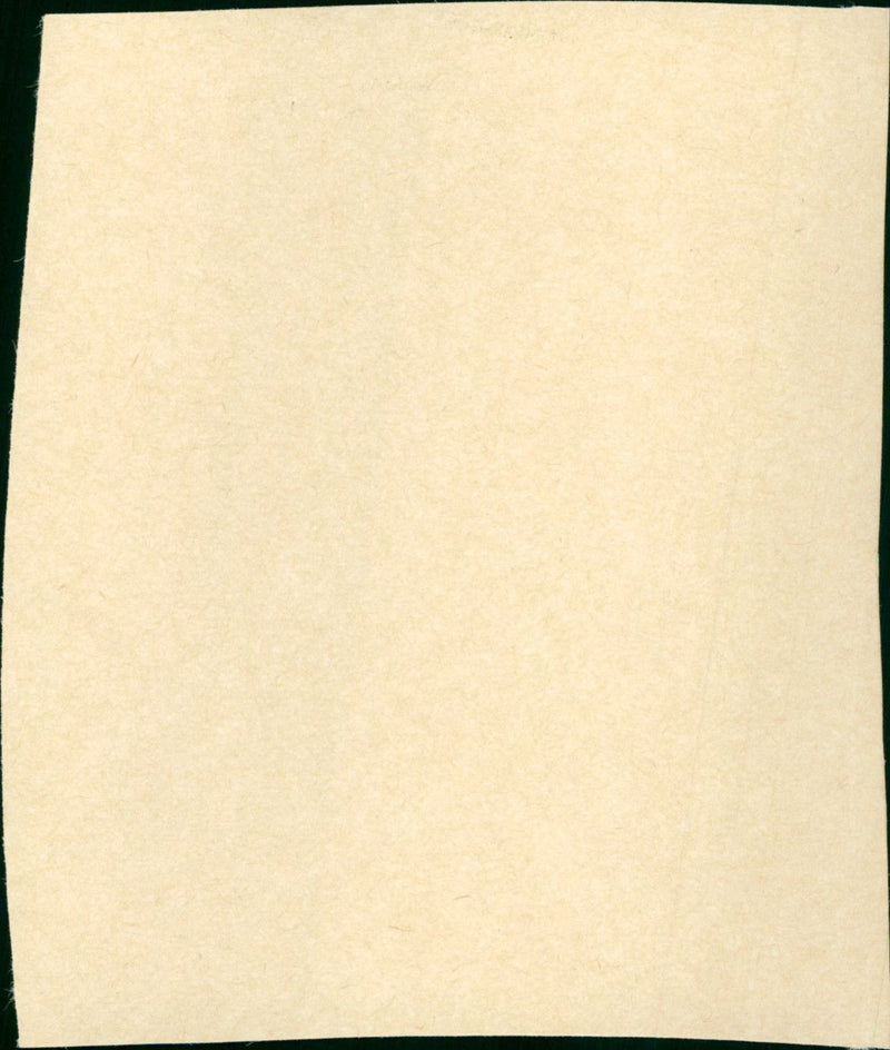 Hail the Conquering Hero - Vintage Photograph