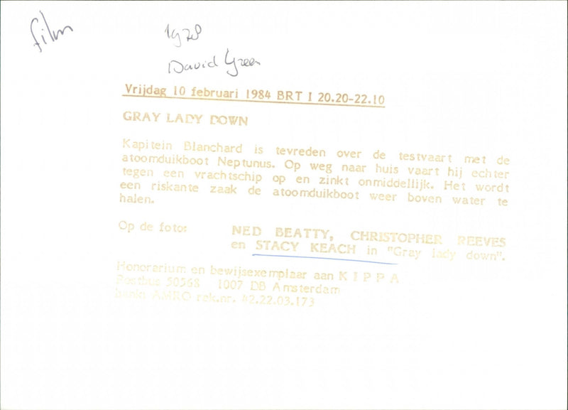 Gray Lady Down - Vintage Photograph