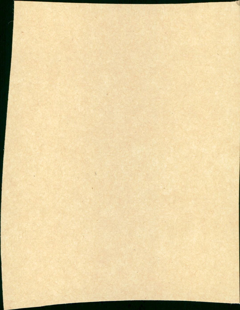 Diplomatic Courier - Vintage Photograph