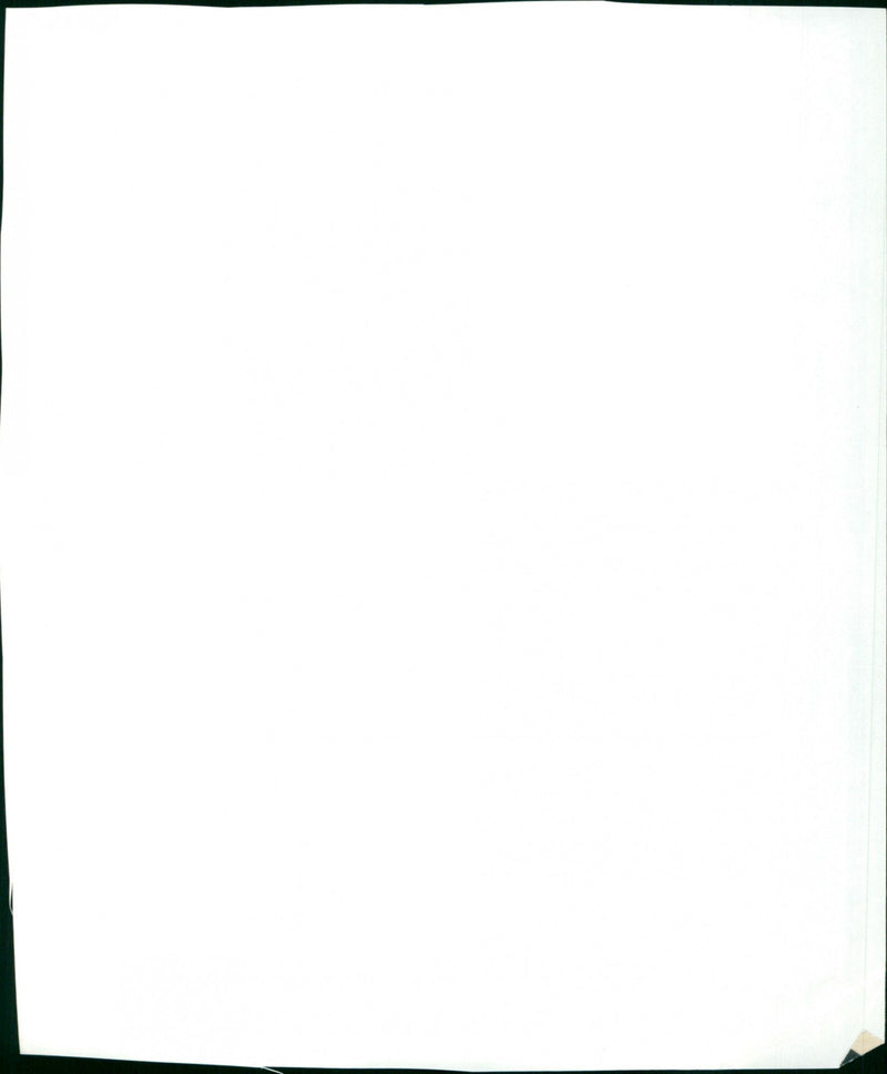 Diplomatic Courier - Vintage Photograph