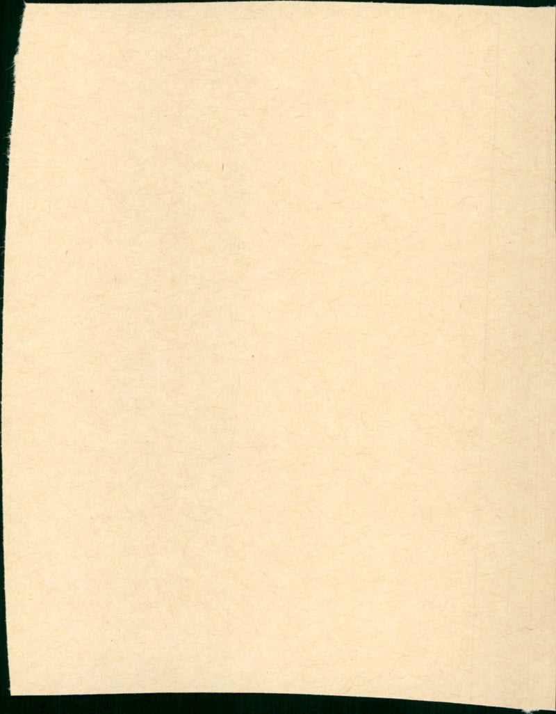 Hair - Vintage Photograph