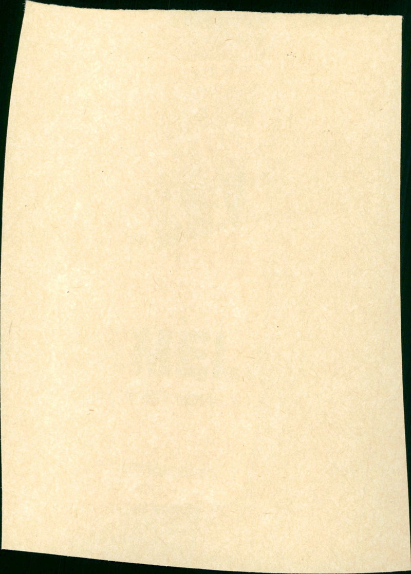 Dirty Dancing - Vintage Photograph