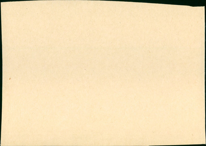 Gray Lady Down - Vintage Photograph