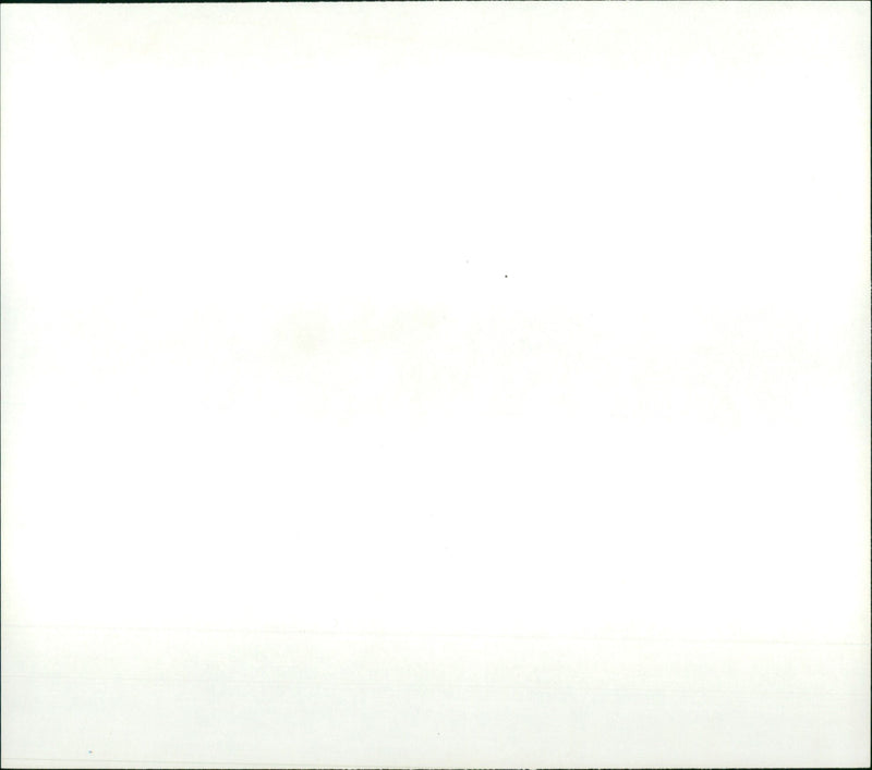 Grease - Vintage Photograph