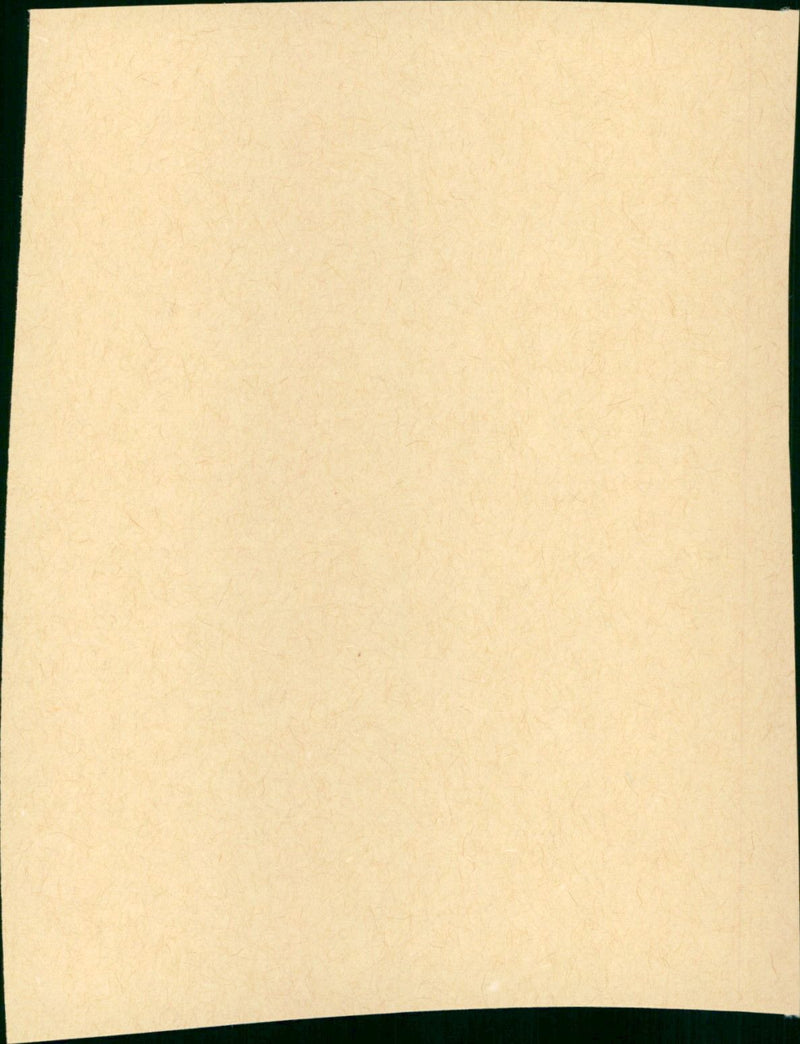 Grease 2 - Vintage Photograph