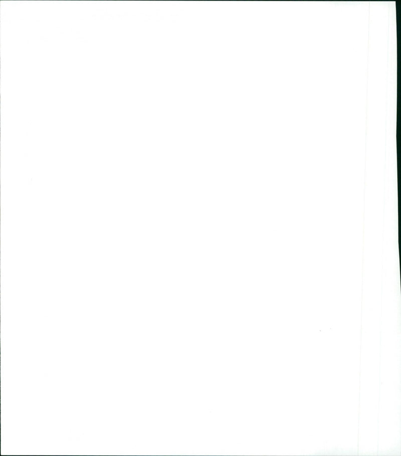 The Best Intentions - Vintage Photograph