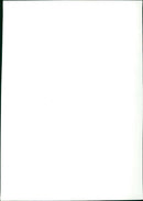 Best Friends - Vintage Photograph