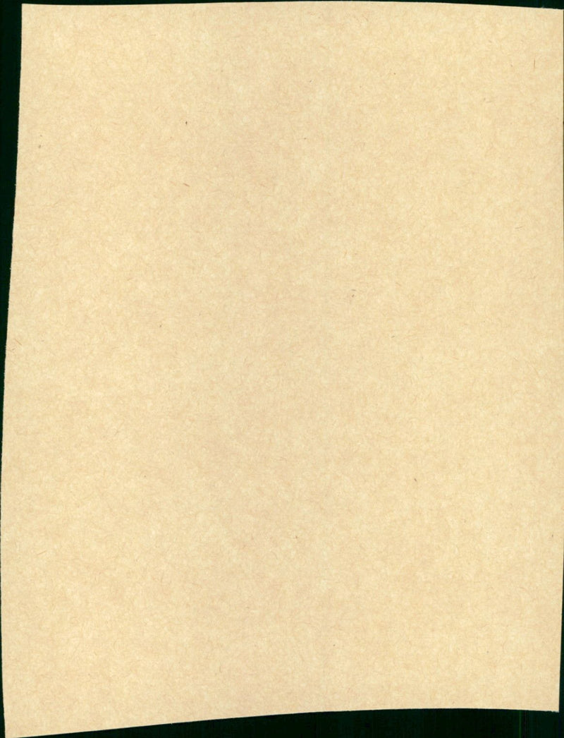 The Green Berets - Vintage Photograph