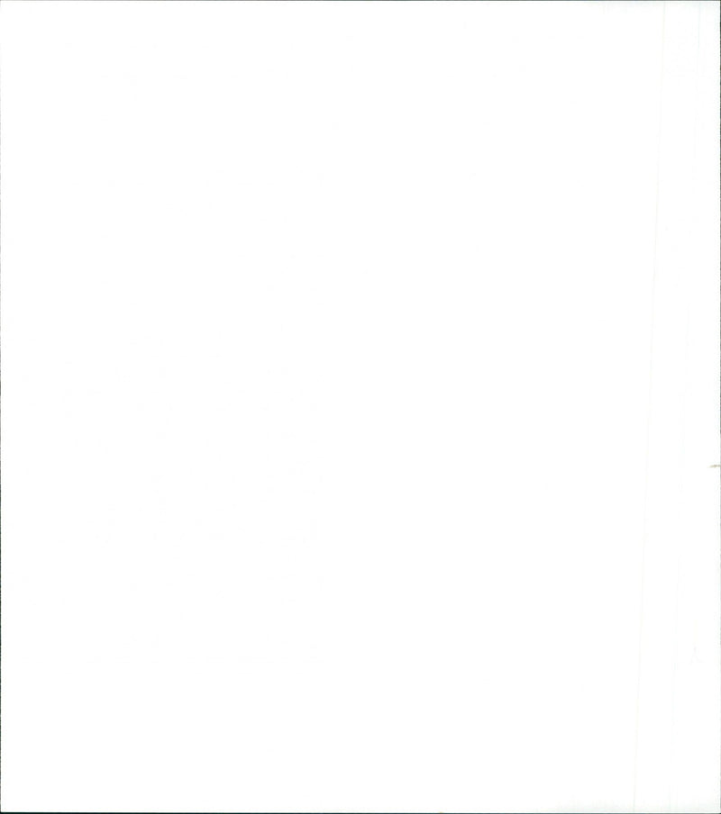 Die Halbzarte - Vintage Photograph