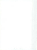 Diplomatic Courier - Vintage Photograph