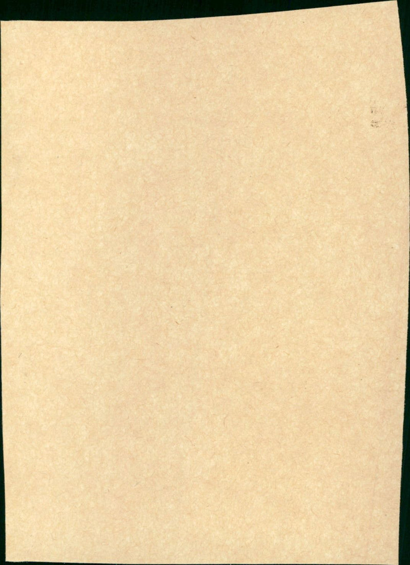 The Great Caruso - Vintage Photograph