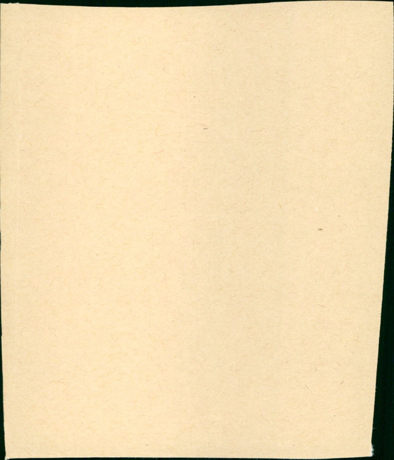 The Best Man - Vintage Photograph