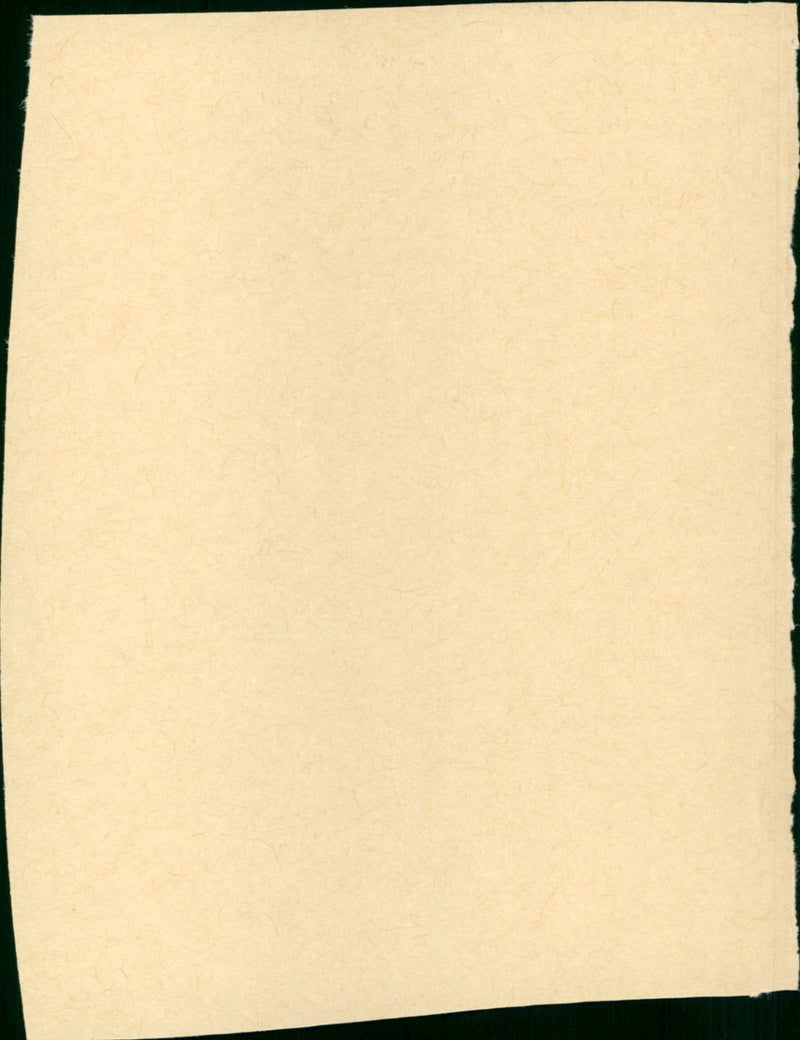 The Big Sky - Vintage Photograph