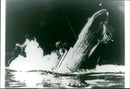 Titanic (1953) - Vintage Photograph