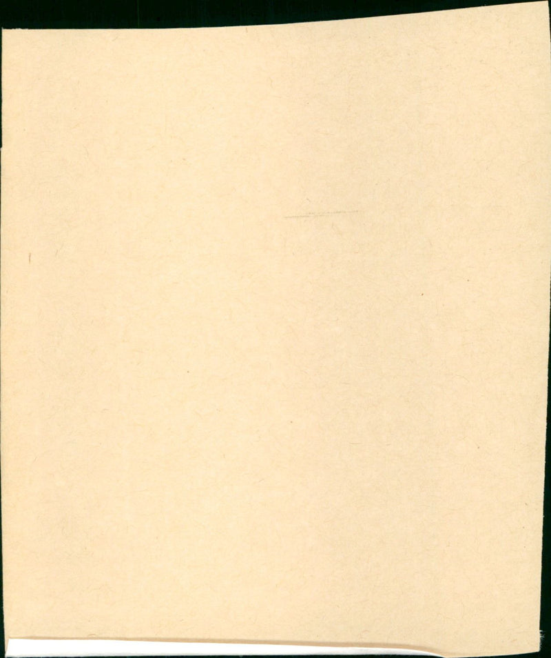 The Hallelujah Trail - Vintage Photograph