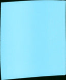 Best Friends - Vintage Photograph