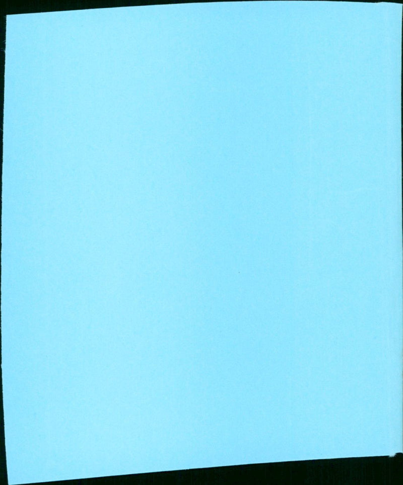 Best Friends - Vintage Photograph