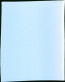 Die Halbzarte - Vintage Photograph