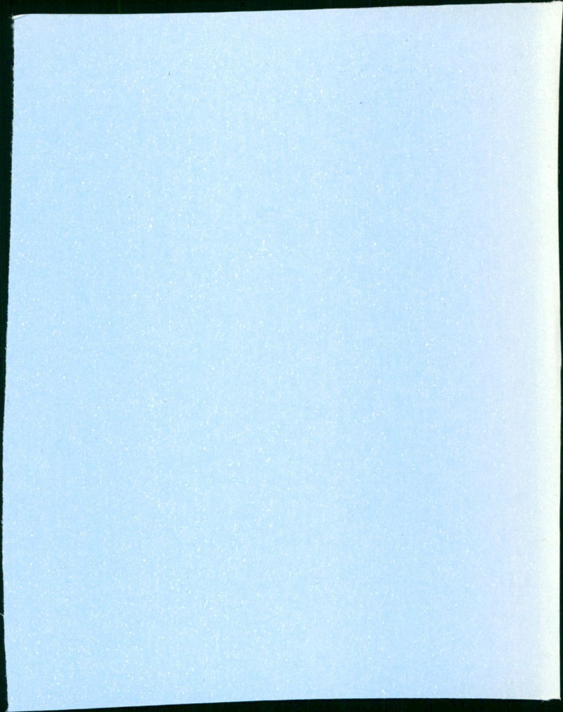 Die Halbzarte - Vintage Photograph