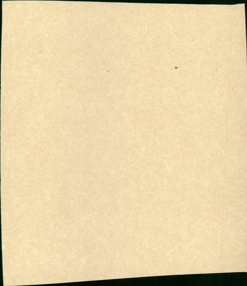 The Big Night - Vintage Photograph