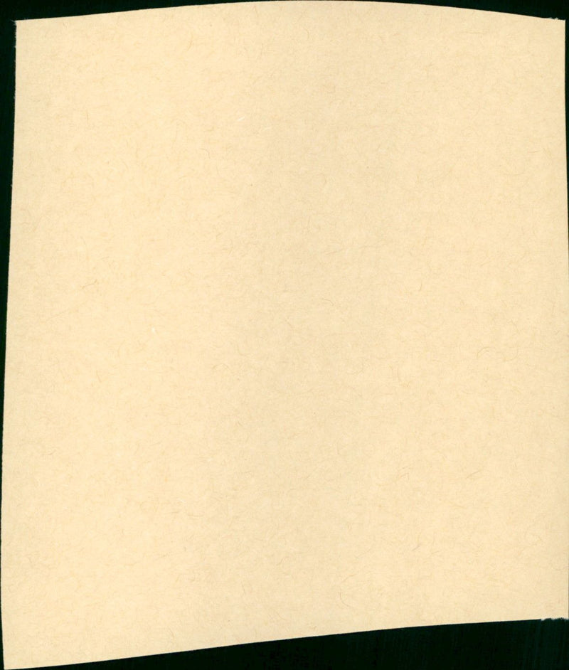 The Big Showdown - Vintage Photograph