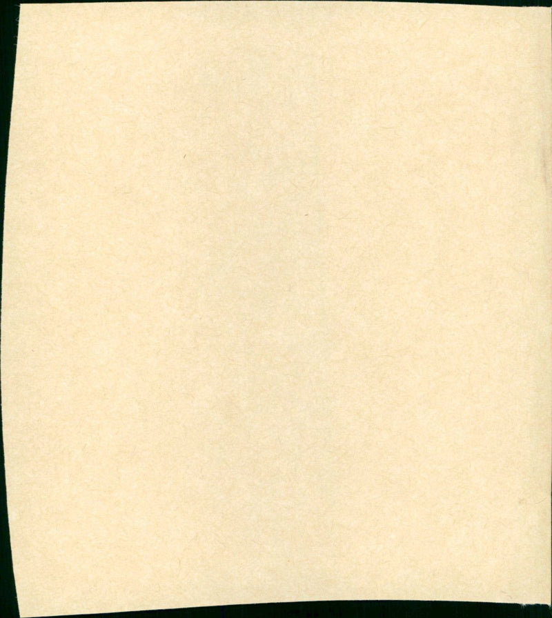 The Big Sleep - Vintage Photograph