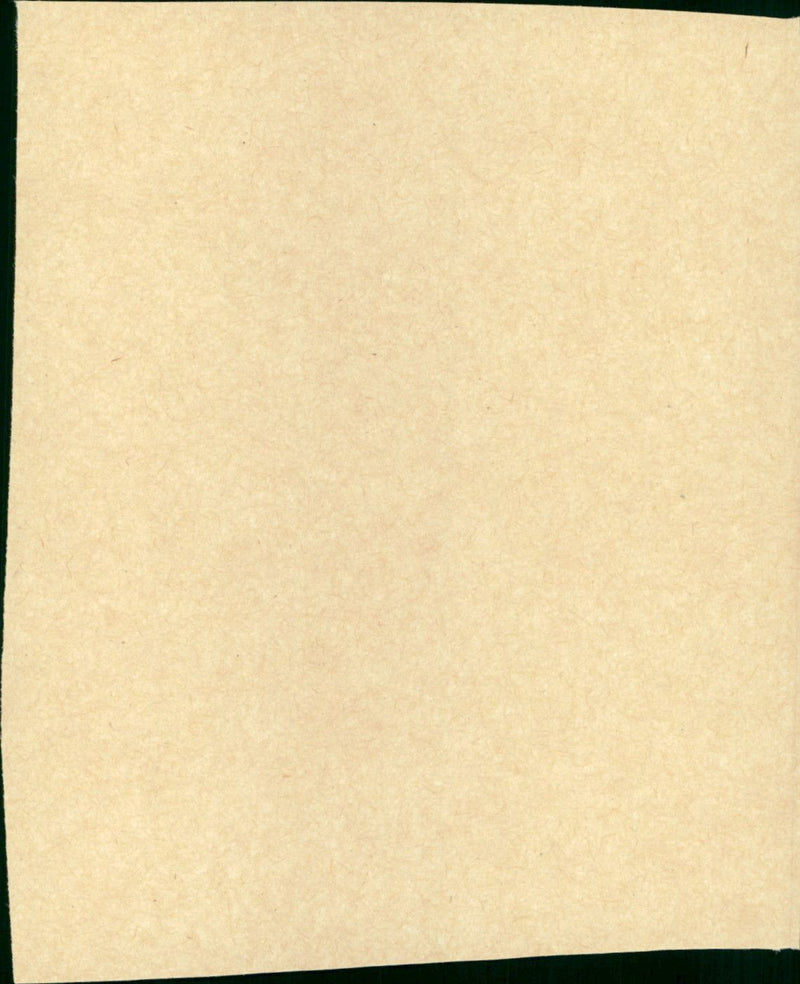 Hallo Dienstmann - Vintage Photograph