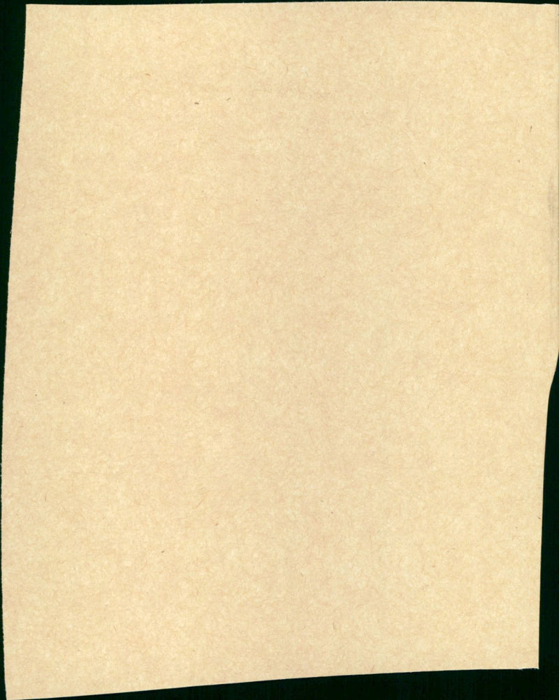 The Great McGinty - Vintage Photograph