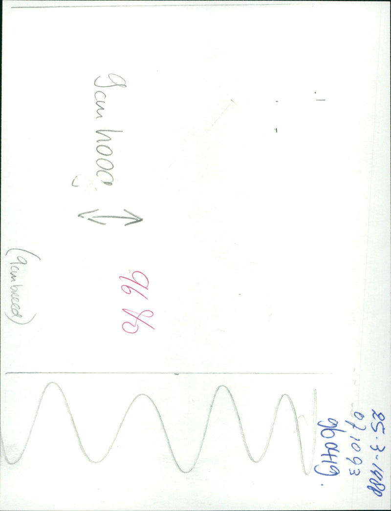 Halloween - Vintage Photograph