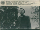 Halloween - Vintage Photograph
