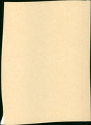 The Great Scout & Cathouse Thursday - Vintage Photograph